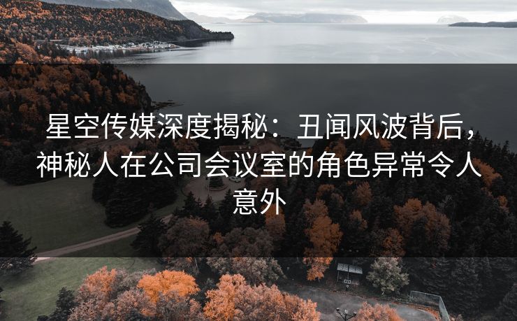 星空传媒深度揭秘：丑闻风波背后，神秘人在公司会议室的角色异常令人意外