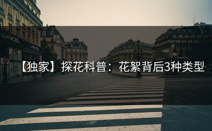 【独家】探花科普：花絮背后3种类型