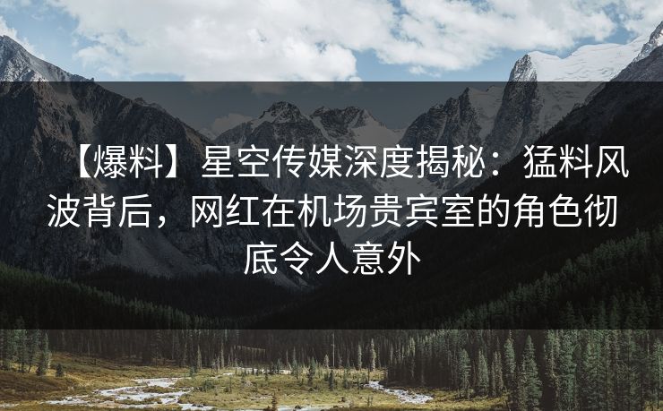 【爆料】星空传媒深度揭秘：猛料风波背后，网红在机场贵宾室的角色彻底令人意外