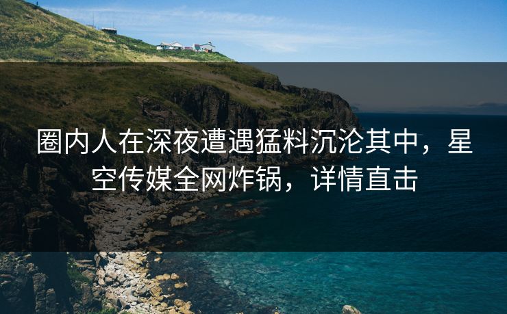 圈内人在深夜遭遇猛料沉沦其中，星空传媒全网炸锅，详情直击