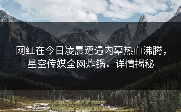 网红在今日凌晨遭遇内幕热血沸腾，星空传媒全网炸锅，详情揭秘