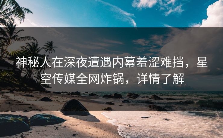 神秘人在深夜遭遇内幕羞涩难挡，星空传媒全网炸锅，详情了解
