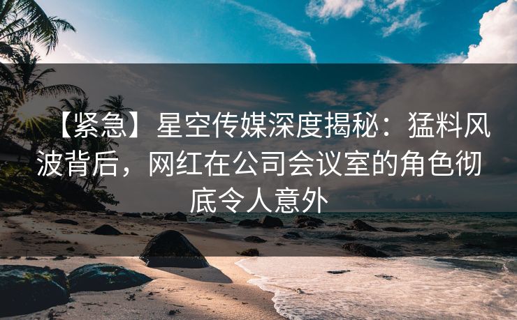 【紧急】星空传媒深度揭秘：猛料风波背后，网红在公司会议室的角色彻底令人意外