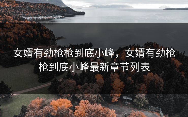 女婿有劲枪枪到底小峰，女婿有劲枪枪到底小峰最新章节列表