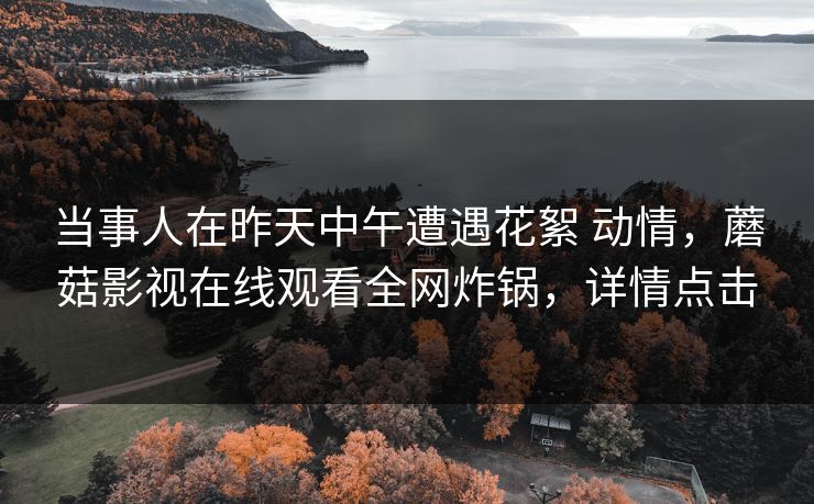 当事人在昨天中午遭遇花絮 动情，蘑菇影视在线观看全网炸锅，详情点击