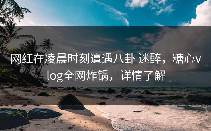 网红在凌晨时刻遭遇八卦 迷醉，糖心vlog全网炸锅，详情了解
