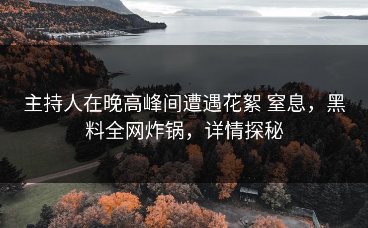 主持人在晚高峰间遭遇花絮 窒息，黑料全网炸锅，详情探秘