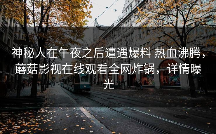 神秘人在午夜之后遭遇爆料 热血沸腾，蘑菇影视在线观看全网炸锅，详情曝光