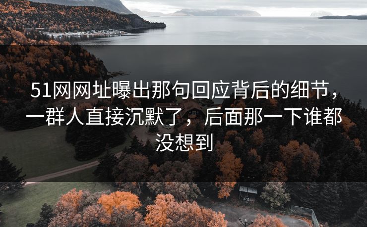 51网网址曝出那句回应背后的细节，一群人直接沉默了，后面那一下谁都没想到